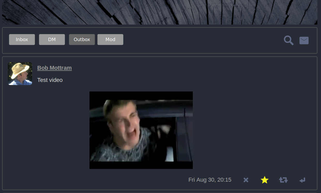 screenshot showing embedded video clip